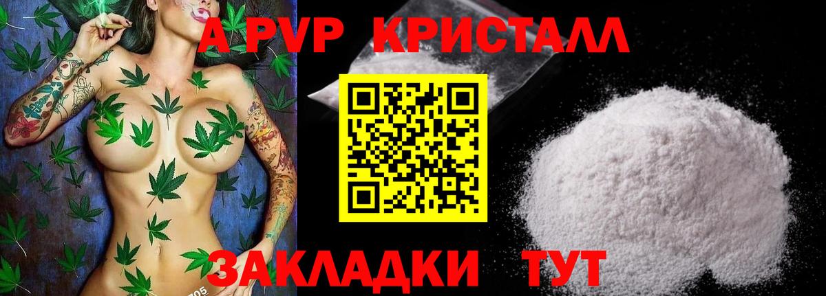Донской  Alpha PVP СК КРИС  Вход с VPN  A-PVP  Alpha-PVP СК 