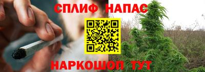 МДПВ Дубна