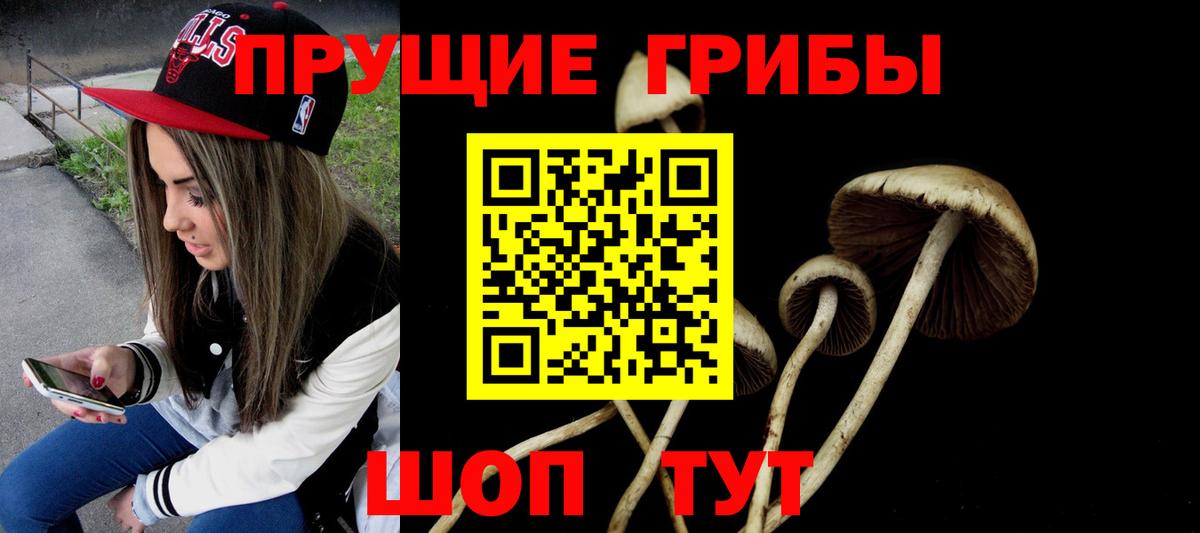Галлюциногенные грибы MAGIC MUSHROOMS Донской